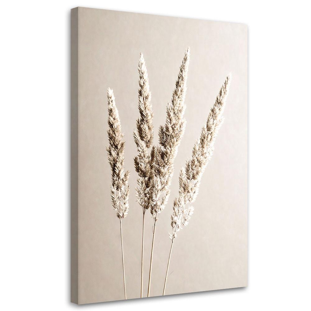 LEINWANDBILD Pampasgras Pflanzen beige 40x60cm - Beige, Textil (40/60cm) - Feeby