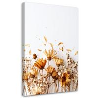 LEINWANDBILD Getrocknete Feldblumen in Beige 80x120cm - Beige, Textil (80/120cm) - Feeby