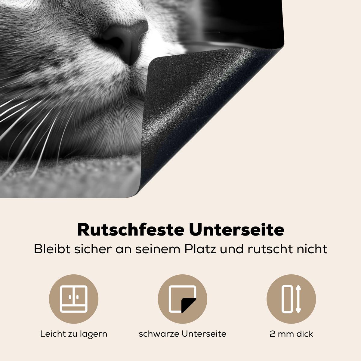 HERDABDECKPLATTE Katze - Grau - Tiere - Katze Abdeckung Ceranfeld 57.6x51.6 cm - Grau, Kunststoff (57.6/51.6/0.2cm) - MuchoWow