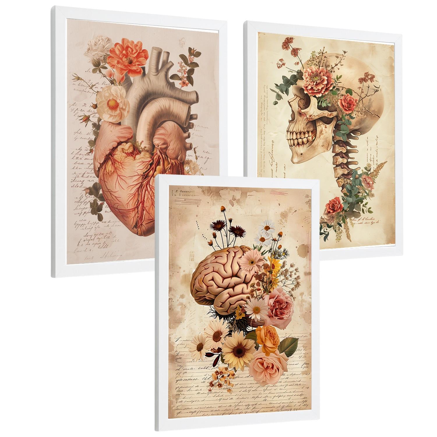 POSTER Set aus 3 Anatomie Mensch Drucke und Wandbilder mit Herz Gehirn und Schädel Vintage Floraler Stil Wanddekoration Größe Weißer Rahmen A4 - Weiß, Papier (21/29.7/3cm) - Nacnic