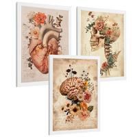 POSTER Set aus 3 Anatomie Mensch Drucke und Wandbilder mit Herz Gehirn und Schädel Vintage Floraler Stil Wanddekoration Größe Weißer Rahmen A4 - Weiß, Papier (21/29.7/3cm) - Nacnic