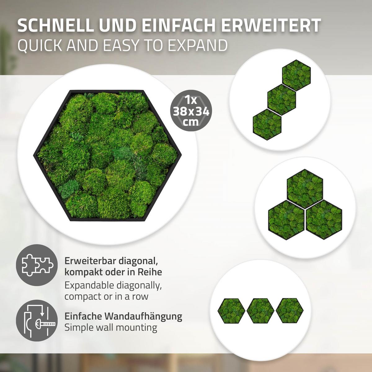 MOOSBILD Hexagon 38x34 cm Mooswand Indoor mit echtem Kugelmoos und Holzrahmen Grün Pflegefrei - Grün, Naturmaterialien (38/34/3.4cm) - ECD-Germany
