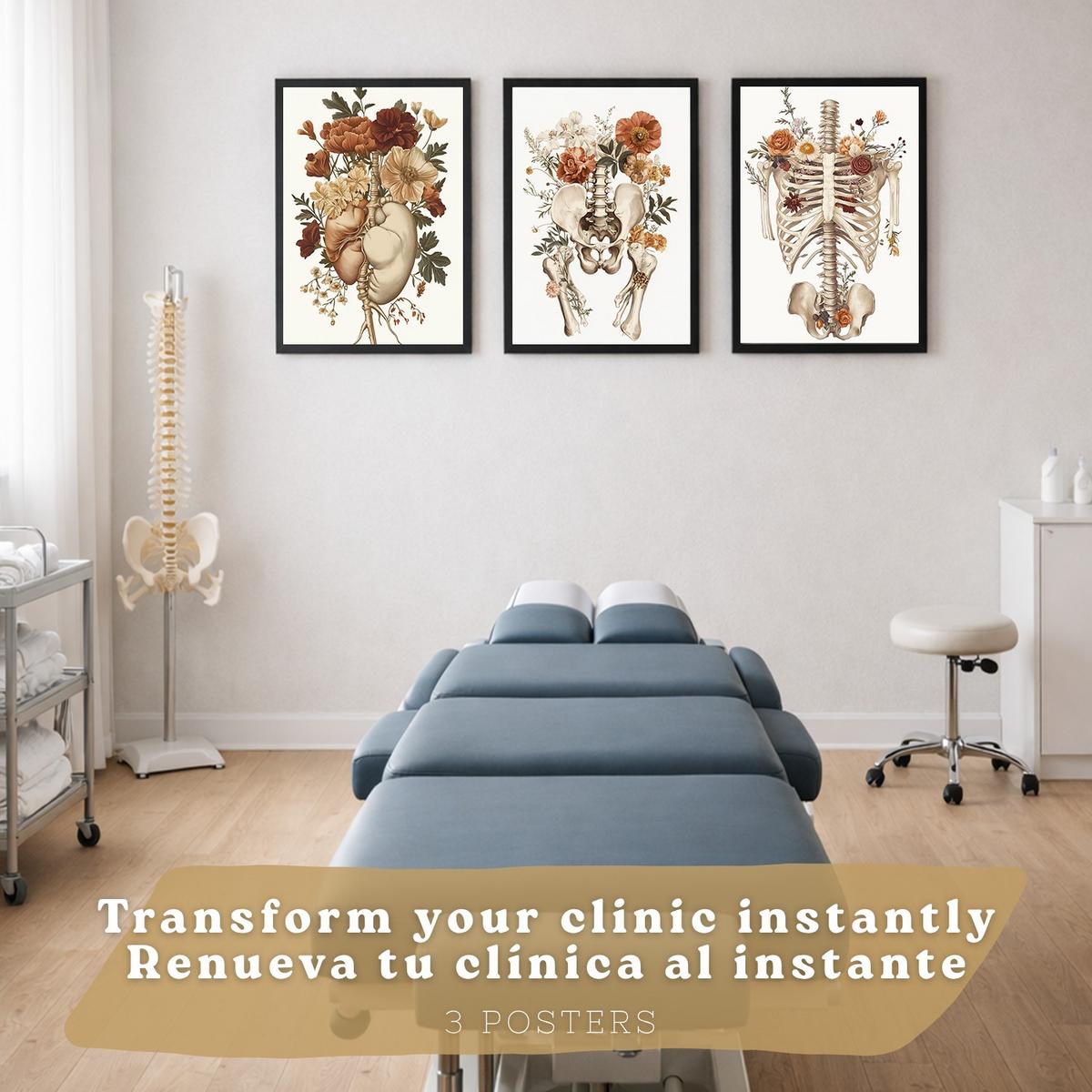 POSTER Set aus 3 Anatomie Mensch Florale Vintage Drucke und Wandbilder mit Herz Brustkorb und Becken Wanddekoration Größe Schwarzer Rahmen A3 - Schwarz, Papier (29.7/42/3cm) - Nacnic