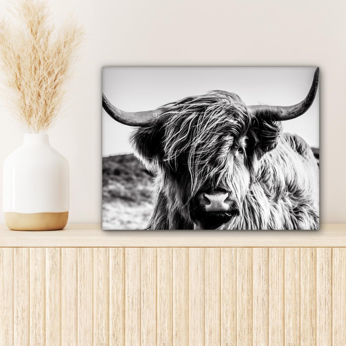LEINWANDBILD Kuh - Schottischer Hochländer - Schwarz - Weiß - Tier - Natur - Wildtiere Wandbild 40x30 cm - Schwarz, Textil (40/30cm) - MuchoWow
