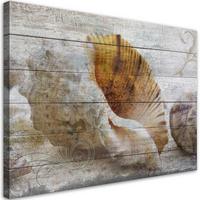 WANDBILD muscheln vintage stil - Beige, Textil (60/40cm) - Feeby