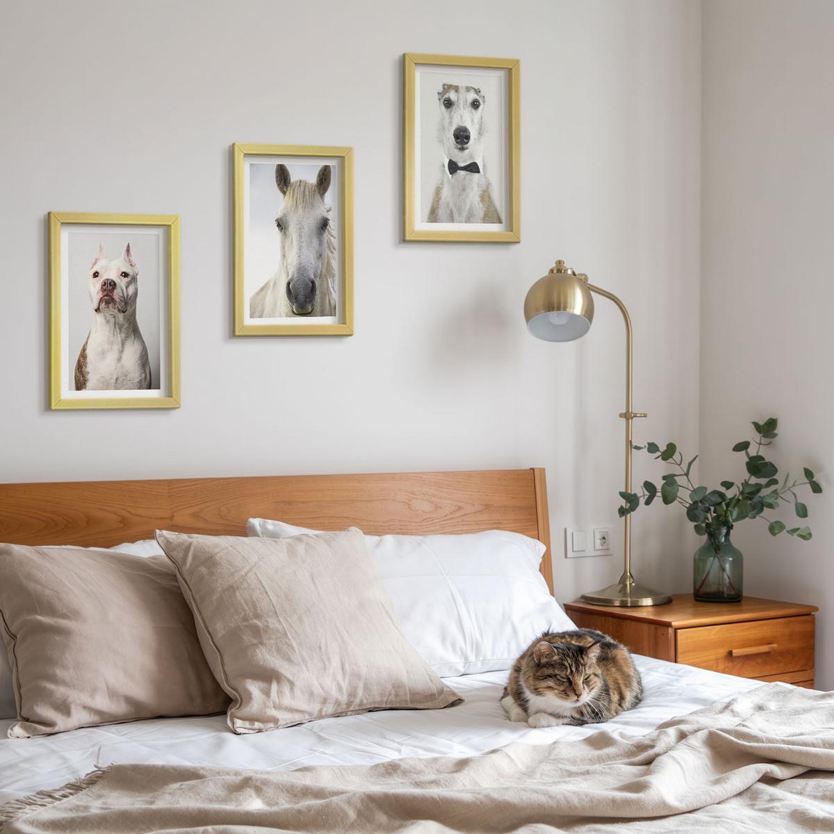 BILDER SET 3er Set - 20x30 cm Goldrahmen - Elegante Porträts von Hunden und Pferden - Goldfarben, Kunststoff (20/30cm) - TULUP