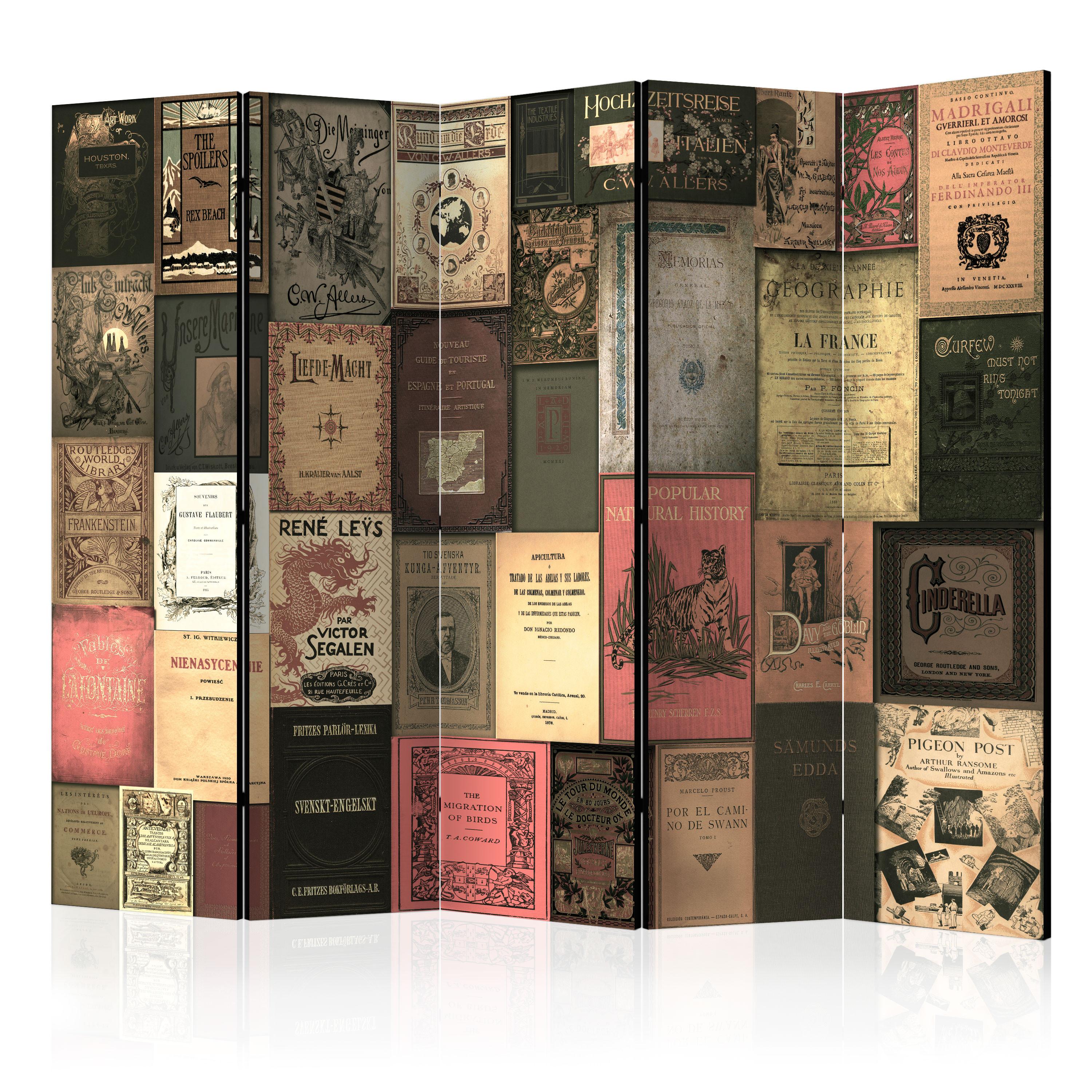PARAVENT Akustik 5-tlg 225x172 cm Bücher vieler - Multicolor, Holz/Textil (225/172/3cm) - Muralo