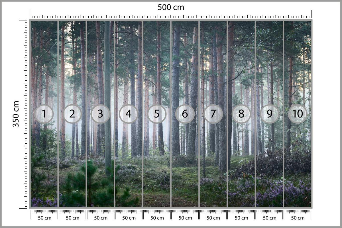 FOTOTAPETE für Wohnzimmer Nebelwald mit Bäumen Moos Grün 500x350 - Grau/Grün, Papier (500/350cm) - Muralo