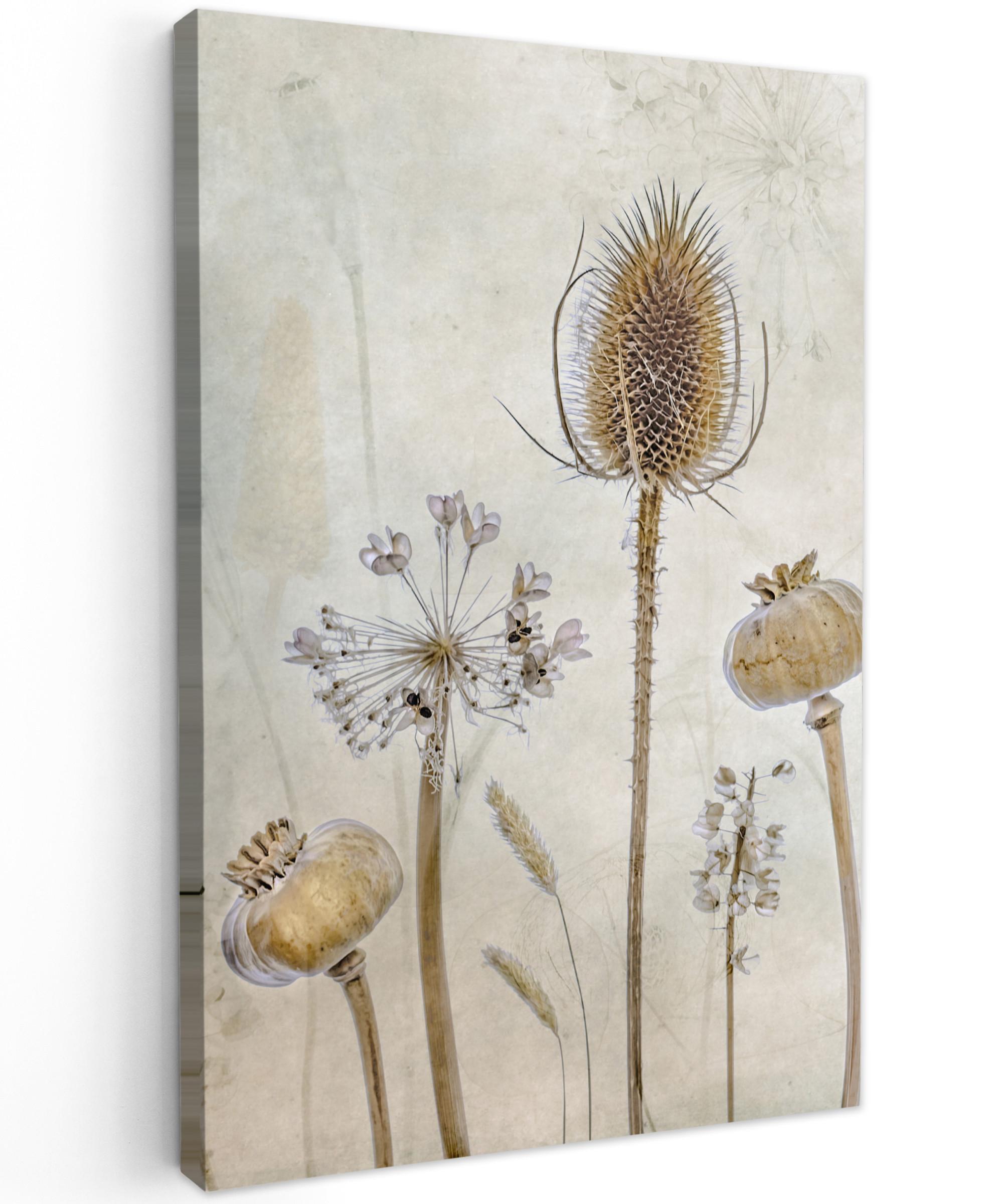 LEINWANDBILD Blumen - Aquarell - Stilleben - Braun - Vintage Wanddeko 40x60 cm - Beige, Textil (40/60cm) - MuchoWow