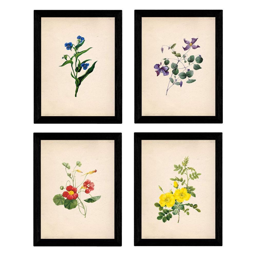 POSTER Set mit 4 Botanische Papier Hintergrund farbige Blumen A4 Rahmenlos - Klar, Papier (29.7/3cm) - Nacnic