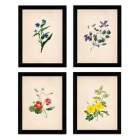 POSTER Set mit 4 Botanische Papier Hintergrund farbige Blumen A4 Rahmenlos - Klar, Papier (29.7/3cm) - Nacnic