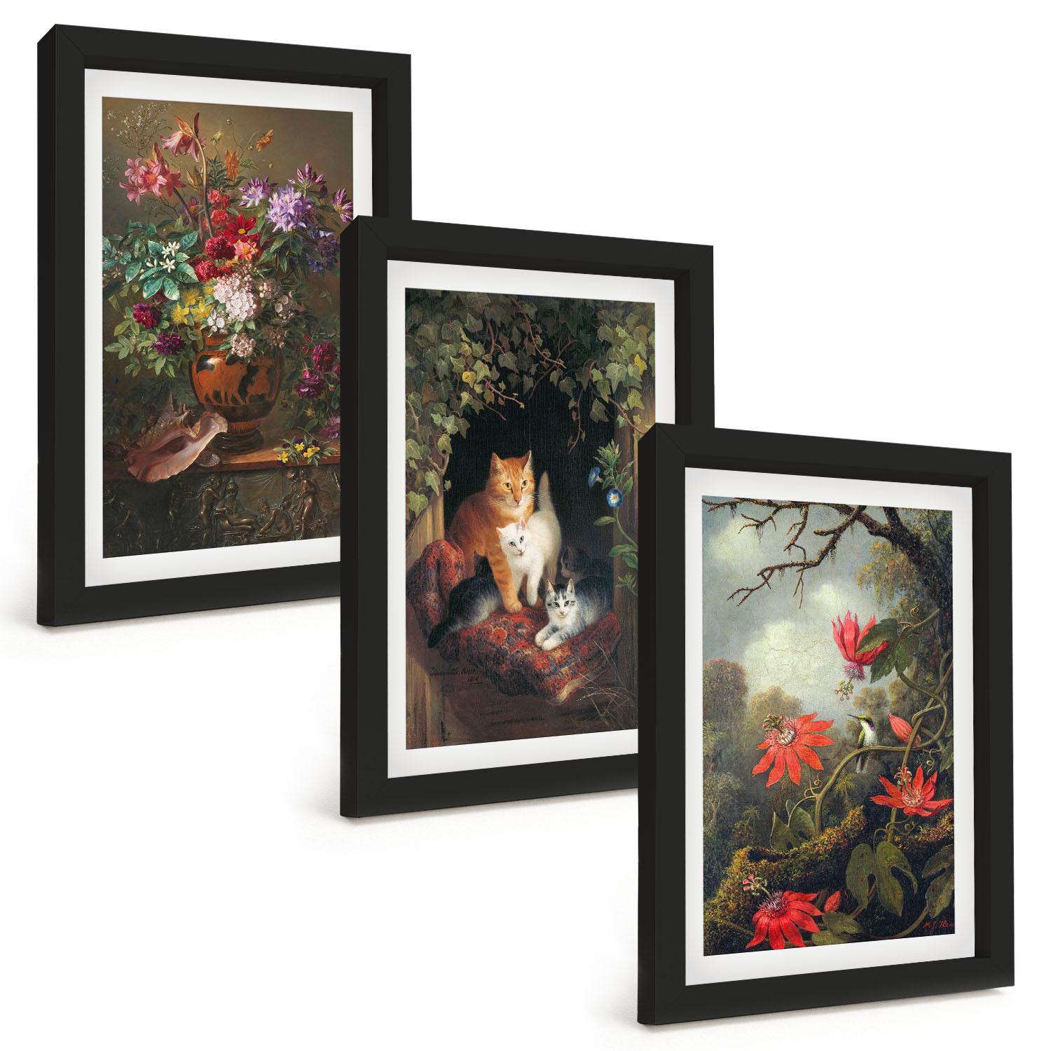 BILDER SET 3er Set - 20x30 cm Schwarzer Rahmen - Vintage-Blumen, Katzen, Natur - Schwarz, Kunststoff (20/30cm) - TULUP