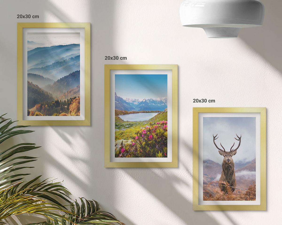 BILDER SET 3er Set - 20x30 cm Goldrahmen - Natur des Bergseehirsches - Goldfarben, Kunststoff (20/30cm) - TULUP