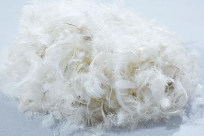 Bettwaren: Daunendecken, Baumwolldecken & mehr mömax