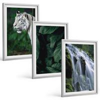 BILDER SET 3er Set - 40x60 cm Silberner Rahmen - Wasserfall aus weißen Tigerblättern - Silberfarben, Kunststoff (40/60cm) - TULUP