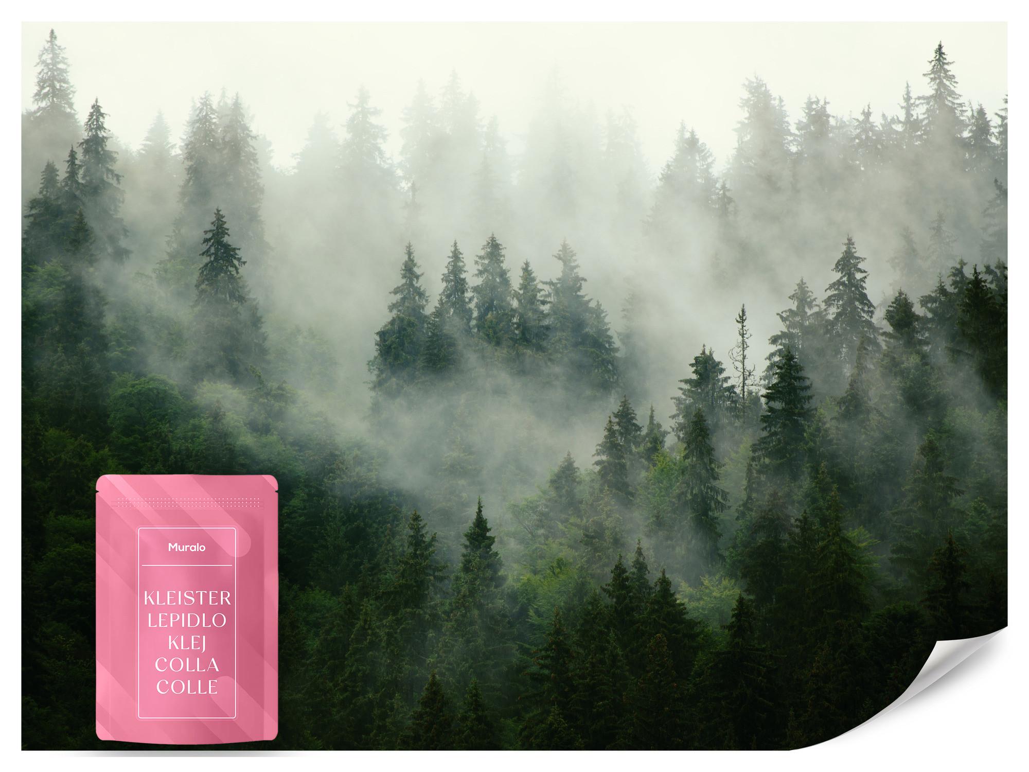 FOTOTAPETE Wald im Nebel Natur Landschaft 3D 200x140 - Grau/Grün, Papier (200/140cm) - Muralo