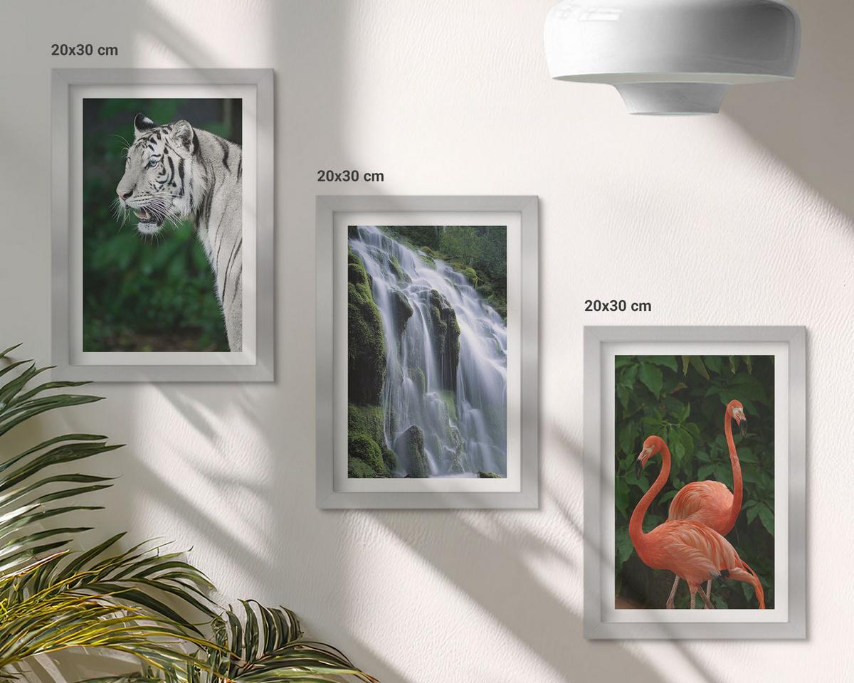 BILDER SET 3er Set - 20x30 cm Silberner Rahmen - Tiger Wasserfall Flamingos Natur - Silberfarben, Kunststoff (20/30cm) - TULUP