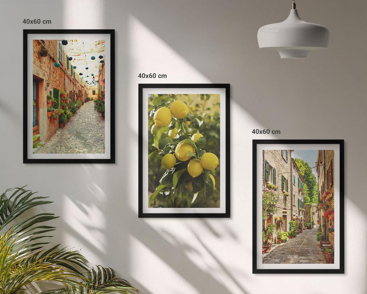BILDER SET 3er Set - 40x60 cm Schwarzer Rahmen - Straßen mit Zitronenblüten im Hintergrund - Schwarz, Kunststoff (40/60cm) - TULUP