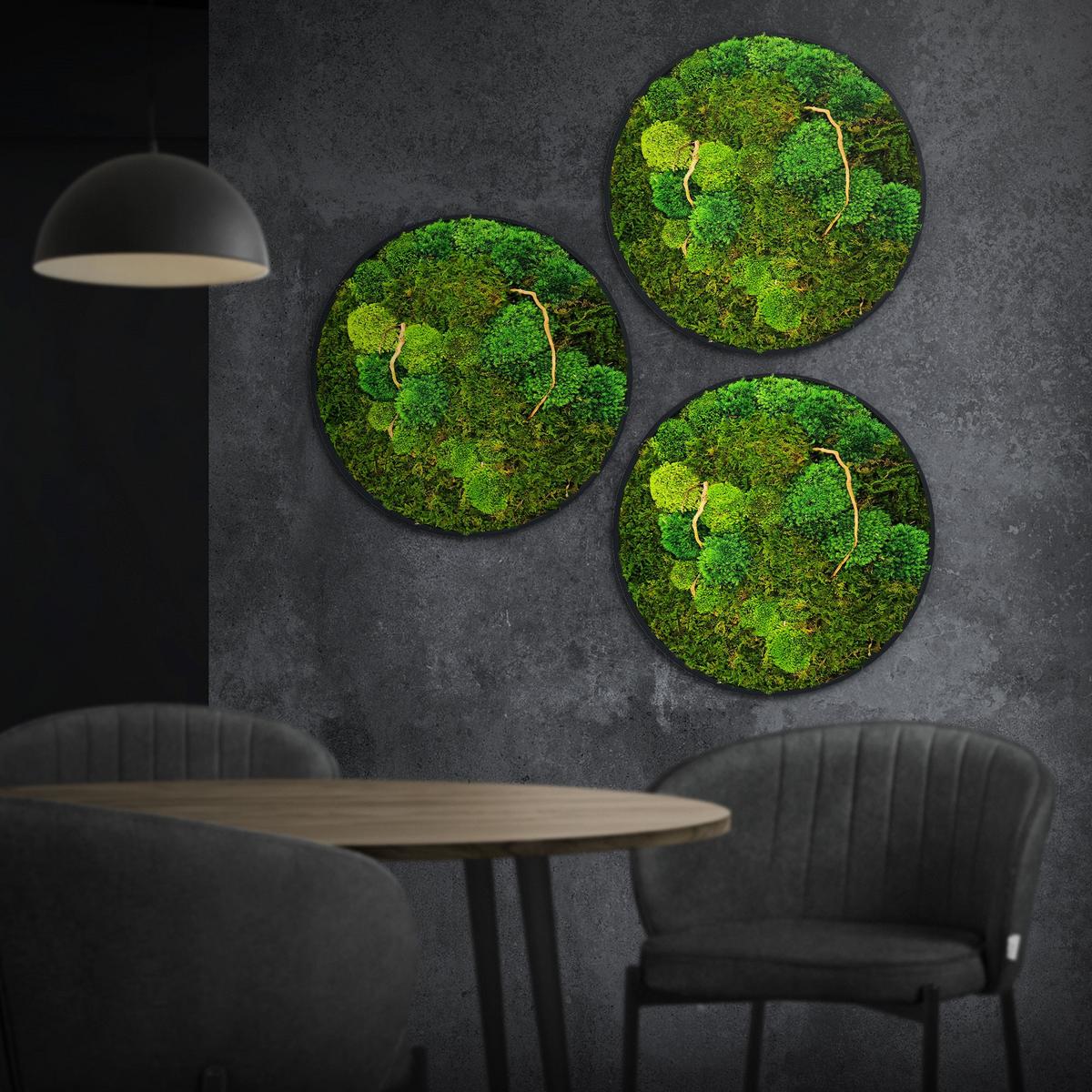 MOOSBILD Rund Ø 40 cm Mooswand Indoor mit echtem Kugelmoos-Flachmoos-Mix und Ästen Holzrahmen Grün - Dunkelgrün, Naturmaterialien (40/40/3cm) - ECD-Germany