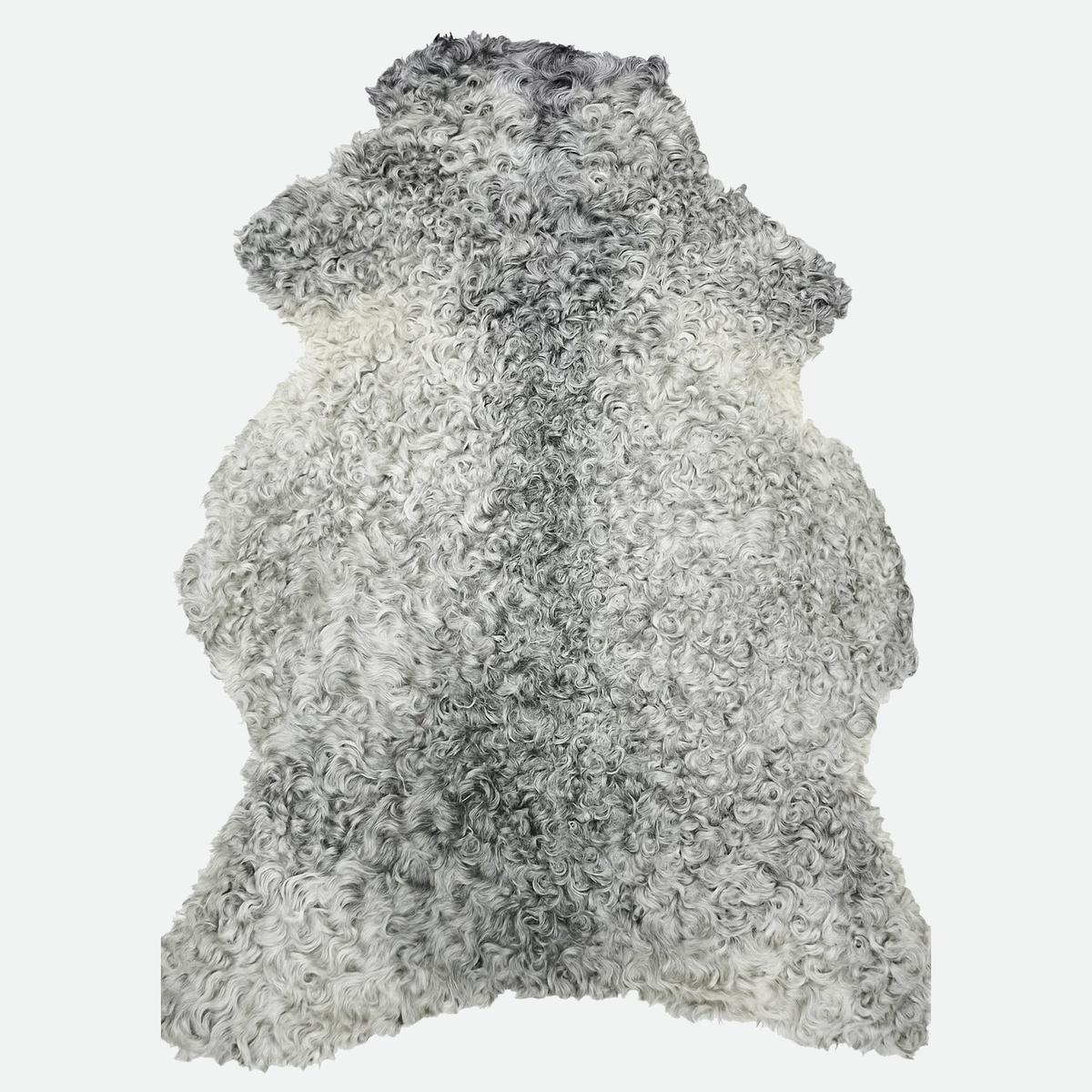 SCHAFFELL Gotland Naturgrau Lockig Unikat ca. 100 cm - Hellgrau, Fell (60/100cm) - Provellus