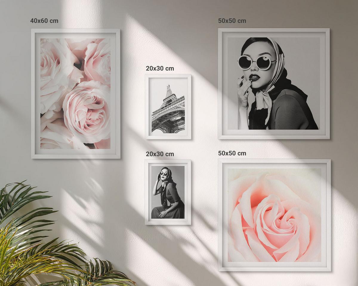 BILDER SET 5er Set - 50x50 cm & 20x30 cm & 40x60 cm Weißer Rahmen - Blumen, Pfingstrosen, Rosen, Eleganz - Weiß, Kunststoff (40/60cm) - TULUP
