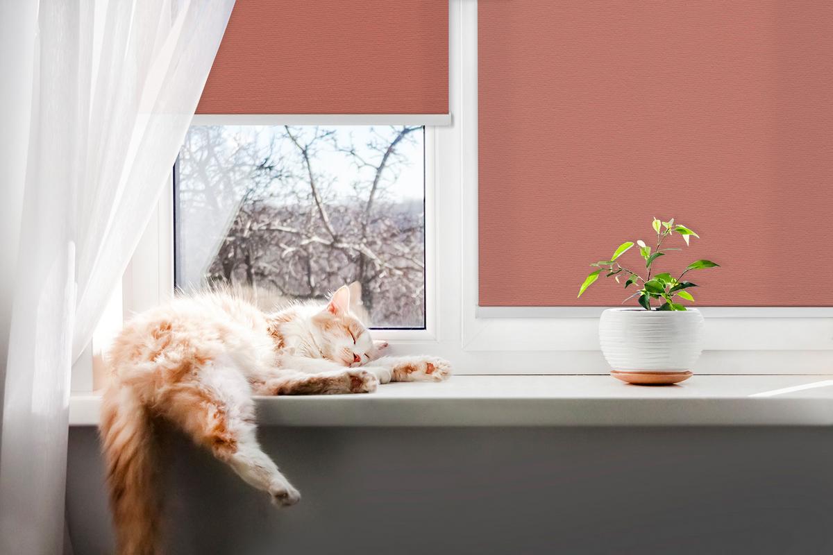 INNENROLLO - Fensterrollo - Rollo - 60x40 cm - Rot - Rot, Kunststoff (60/140/0.5cm) - TULUP