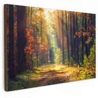 LEINWANDBILD Wald - Herbst - Bäume Deko Schlafzimmer 30x20 cm - Dunkelgrün, Textil (30/20cm) - MuchoWow