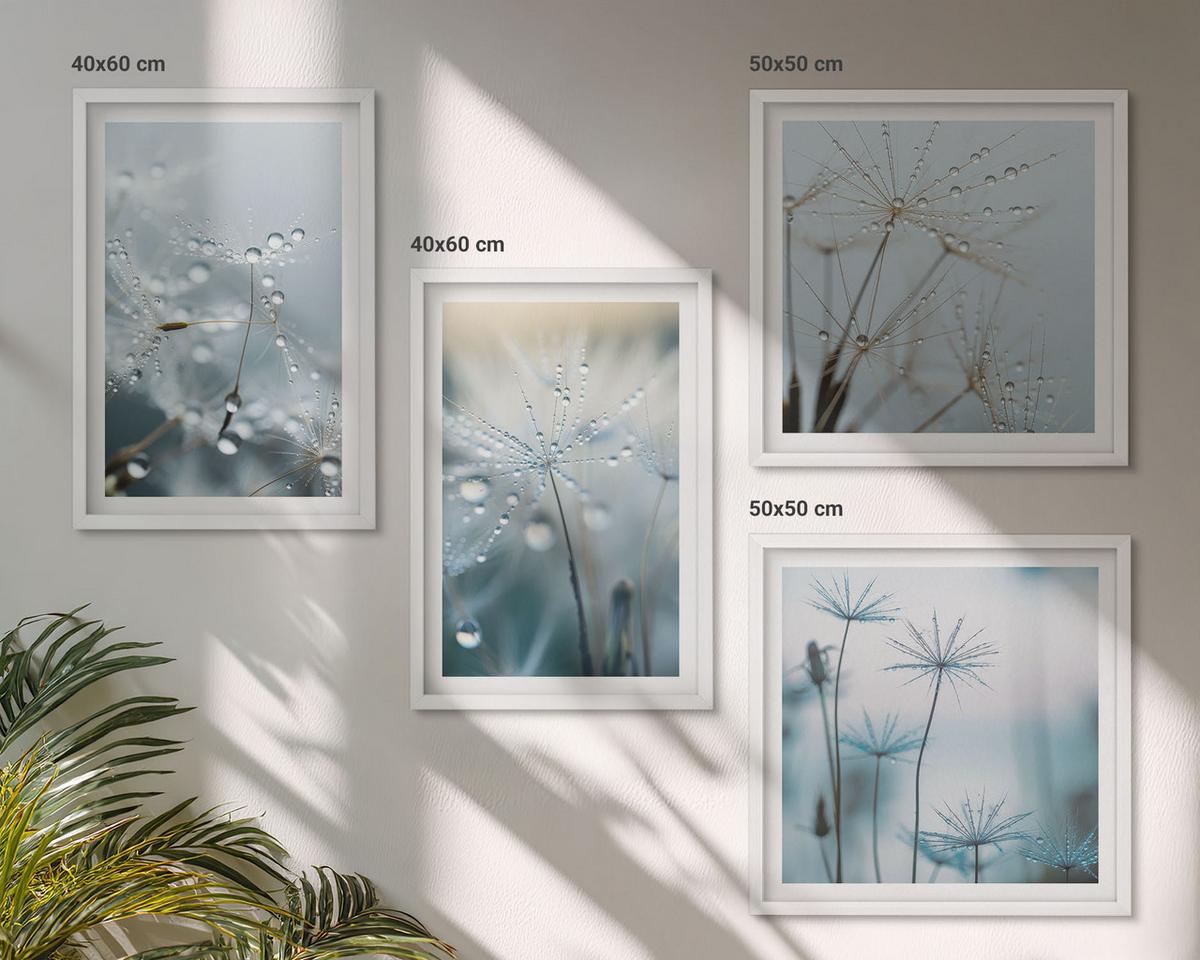 BILDER SET 4er Set - 50x50 cm & 40x60 cm Weißer Rahmen - Tautropfen auf Löwenzahn - Weiß, Kunststoff (50/50cm) - TULUP