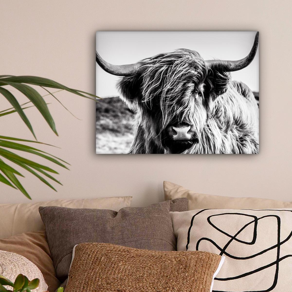 LEINWANDBILD Kuh - Schottischer Hochländer - Schwarz - Weiß - Tier - Natur - Wildtiere Wandbild 40x30 cm - Schwarz, Textil (40/30cm) - MuchoWow