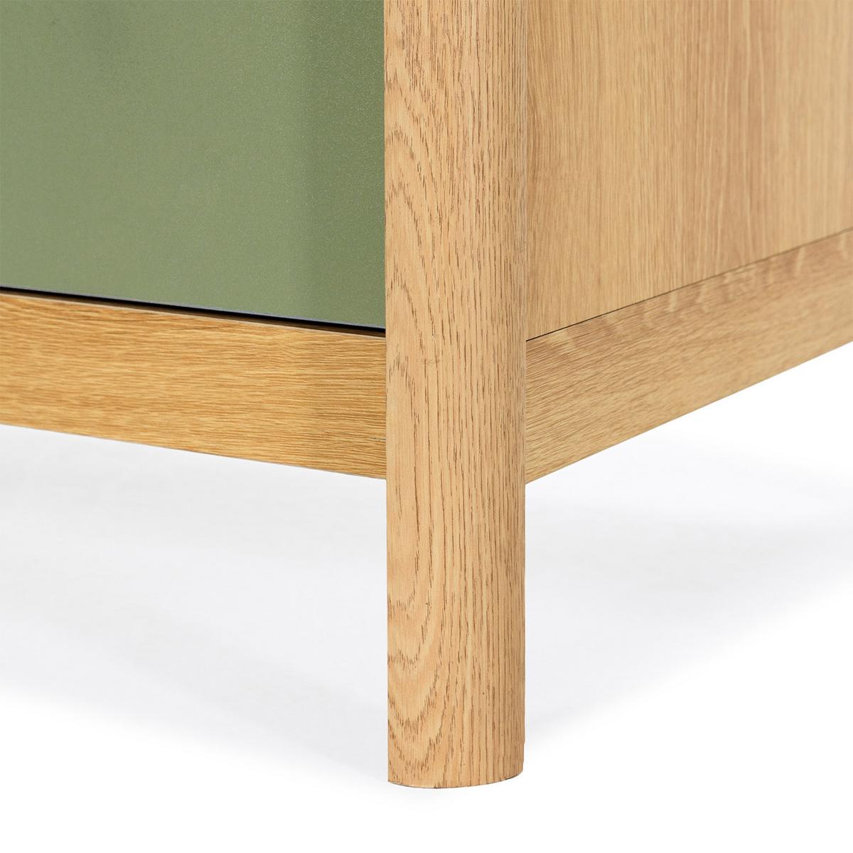 TV-ELEMENT Nassau 2 türen Eichenfarbe/grün - Grün, Holzwerkstoff (160/45/40cm) - VS Venta-stock