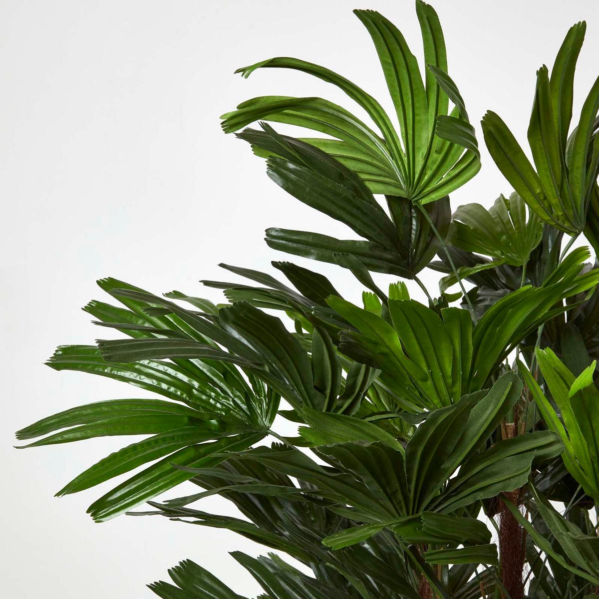KUNSTPALME Rhapis, 150 cm - Grün, Kunststoff (150cm) - Homescapes