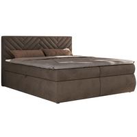BOXBETT AVERTA 160/200 - Braun Velvet - H4 - Braun, Textil (160/200cm) - MKS