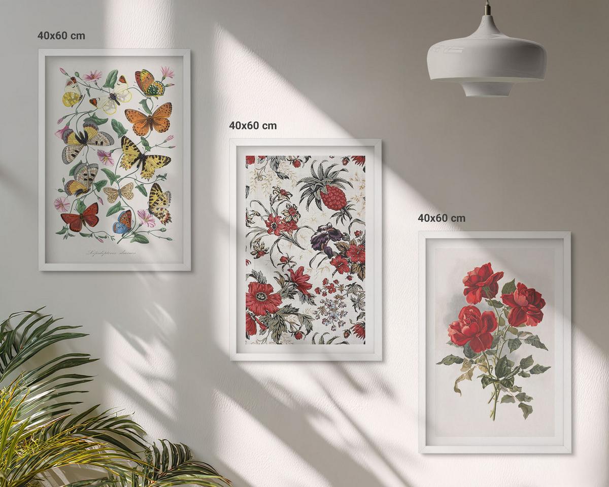 BILDER SET 3er Set - 40x60 cm Weißer Rahmen - Schmetterlinge, Blumen, rote Rosen - Weiß, Kunststoff (40/60cm) - TULUP