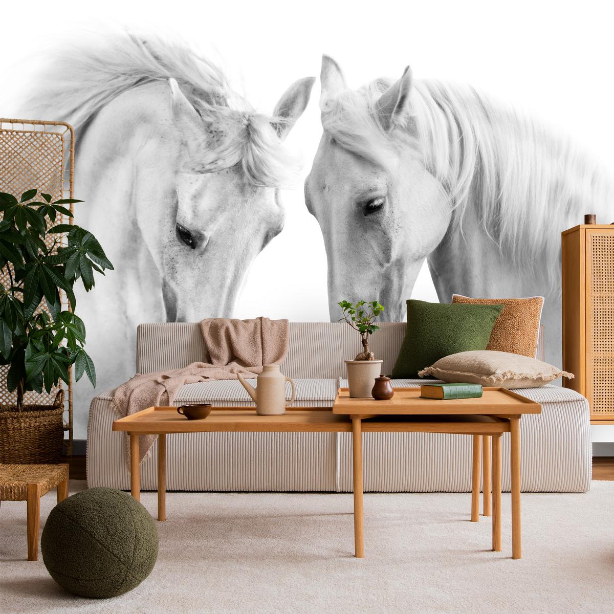 FOTOTAPETE für Schlafzimmer Weiße Pferde Grauer Hintergrund Eleganz Tierwelt 350x256 - Weiß/Grau, Papier (350/256cm) - Muralo