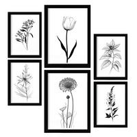 POSTER Set Mit 6 Kleine Blumen Natur Und Botanikdrucke Mit Blumenmotiven In Klassischem Schwarz Und Weiß Innenarchitektur A3 & A4 Schwarzer Rahmen - Schwarz, Papier (29/3cm) - Nacnic