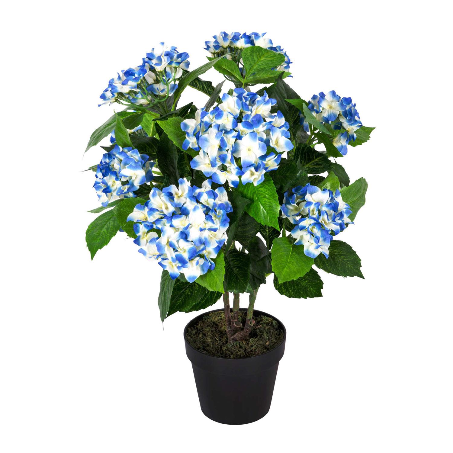 KUNSTBLUME Hortensien blau, 70 cm - Blau, Kunststoff (70cm) - Homescapes