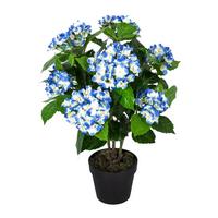 KUNSTBLUME Hortensien blau, 70 cm - Blau, Kunststoff (70cm) - Homescapes