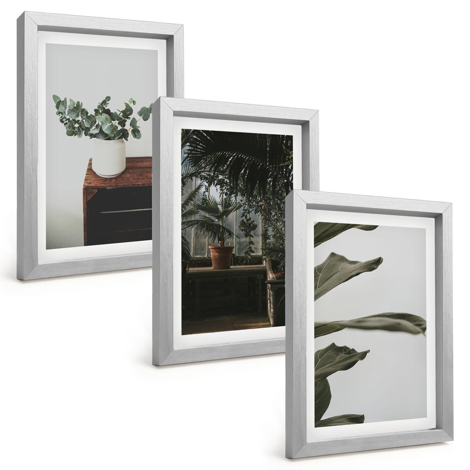 BILDER SET 3er Set - 20x30 cm Silberner Rahmen - Rustikale Topfpflanzen - Silberfarben, Kunststoff (20/30cm) - TULUP