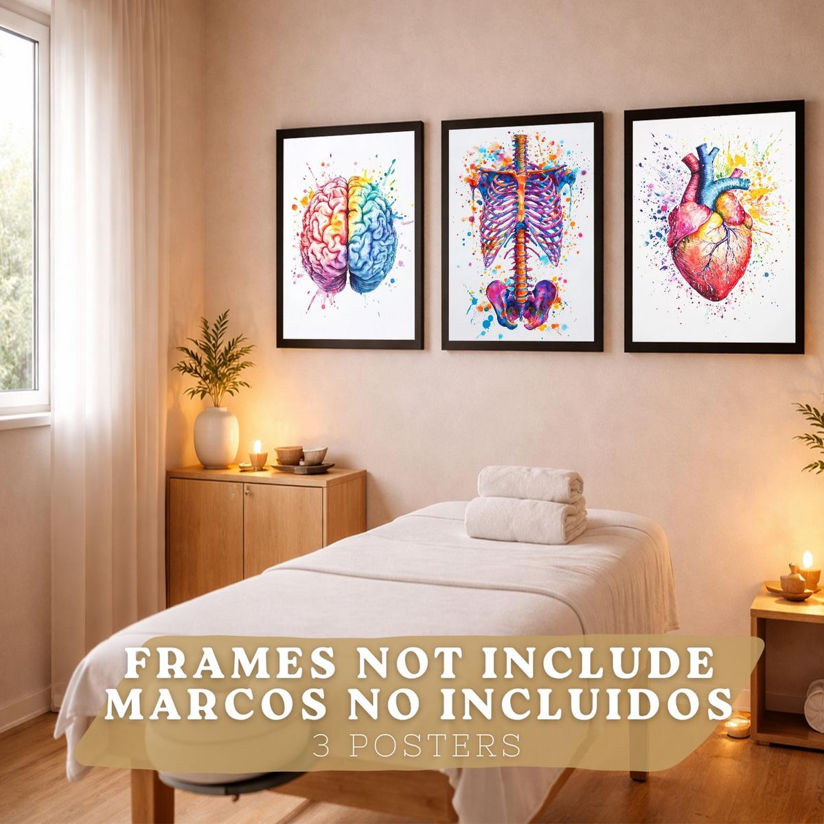 POSTER Set aus 3 Anatomie Mensch Drucke und Wandbilder mit Gehirn Herz Rippen Wirbelsäule Lebendiges Aquarell Design Wanddekoration Größe Rahmenlos A3 - Klar, Papier (29.7/42/3cm) - Nacnic