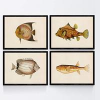 POSTER Set mit 4 FischWeinleseEffekt brauner gelber Ton A4 Rahmenlos - Klar, Papier (29.7/3cm) - Nacnic