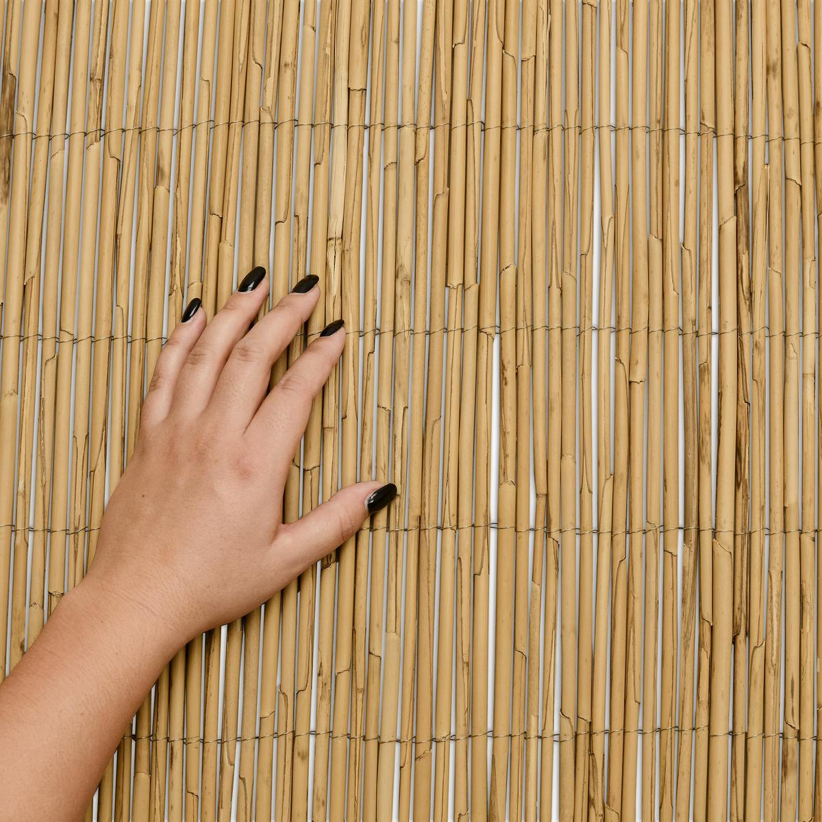 SICHTSCHUTZZAUN SolVision S36 90/600 cm Schilf - Naturfarben, Kunststoff (600/90cm) - Sol Royal