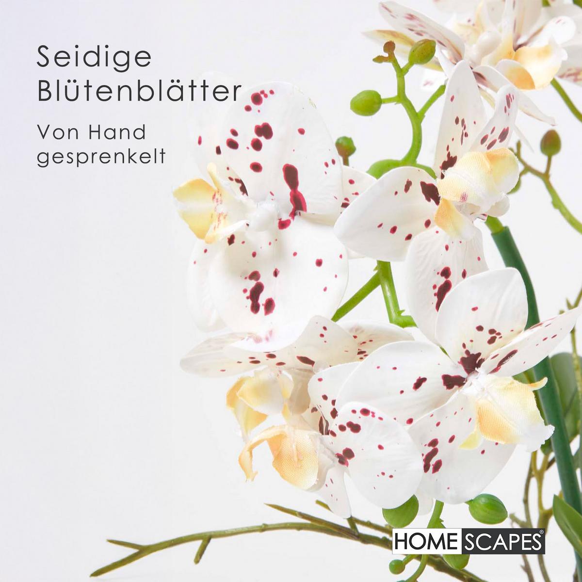 KUNSTBLUME Orchidee weiß-pink im Glas-Topf, 42 cm - Weiß, Kunststoff (42cm) - Homescapes