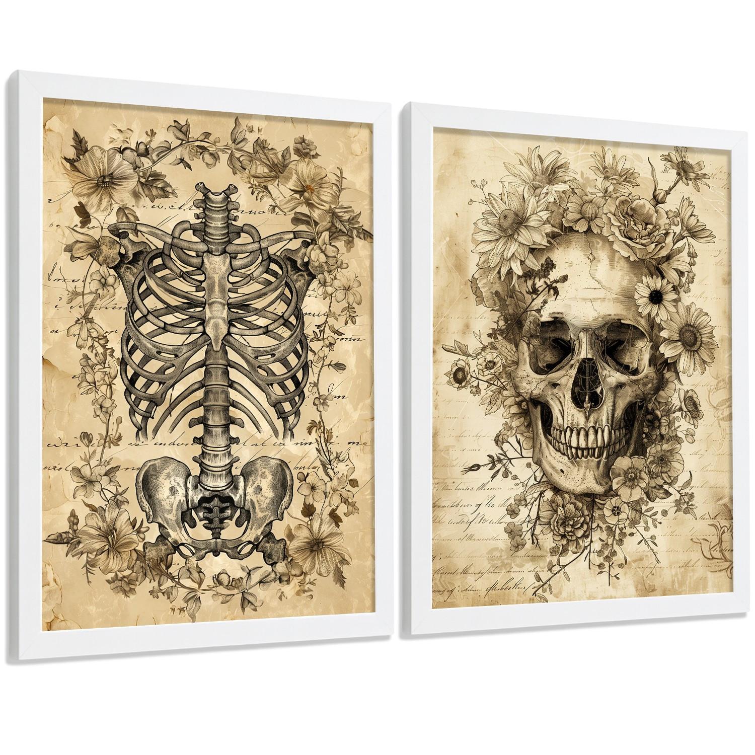 POSTER Set aus 2 Anatomie Mensch Drucke und Wandbilder mit Schädel Wirbelsäule Rippen Becken Klassisches Vintage Design Größe Weißer Rahmen A3 - Weiß, Papier (29.7/42/3cm) - Nacnic