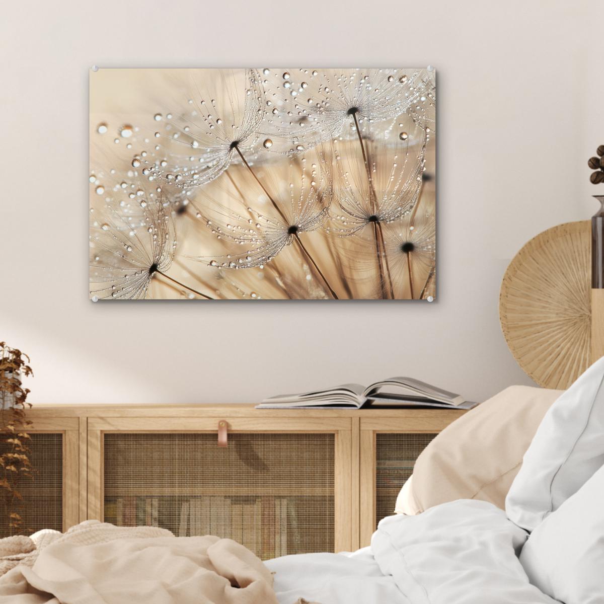 ACRYLGLASBILD Löwenzahn - Abstrakt - Natur - Beige Wanddeko 60x40 cm - Braun, Glas (60/40cm) - MuchoWow