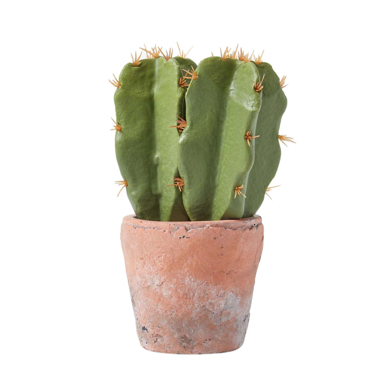 KUNSTPFLANZE Kaktus im Terrakotta-Topf, 17 cm - Grün, Kunststoff (17cm) - Homescapes