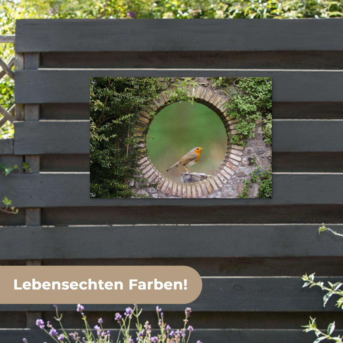 GARTENPOSTER Vogel - Durchblick - Rotkehlchen Gartendeko 90x60 cm - Grün, Kunststoff (90/60/0.2cm) - OnlyWow