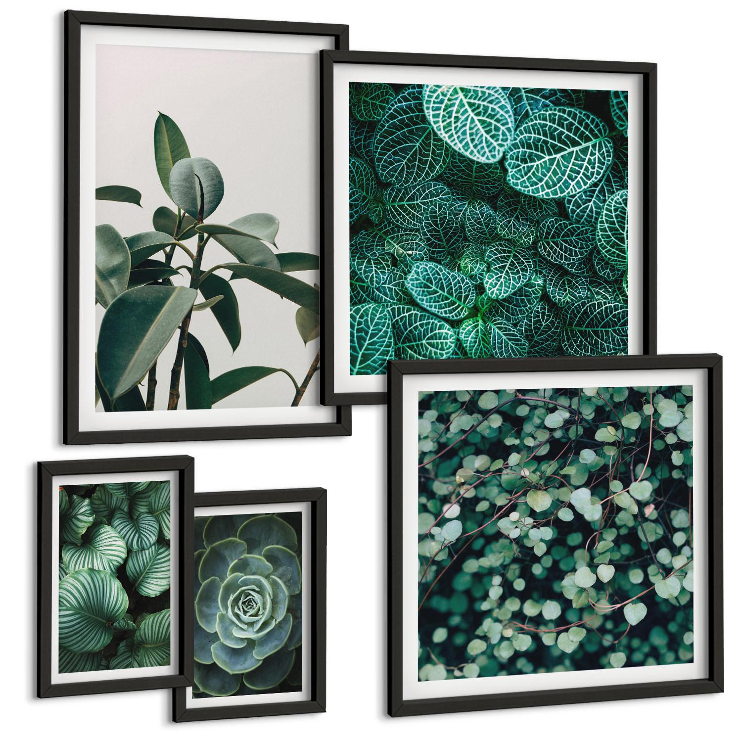 BILDER SET 5er Set - 50x50 cm & 20x30 cm & 40x60 cm Schwarzer Rahmen - Grüne Wälder, kristallklares Wasser - Schwarz, Kunststoff (40/60cm) - TULUP