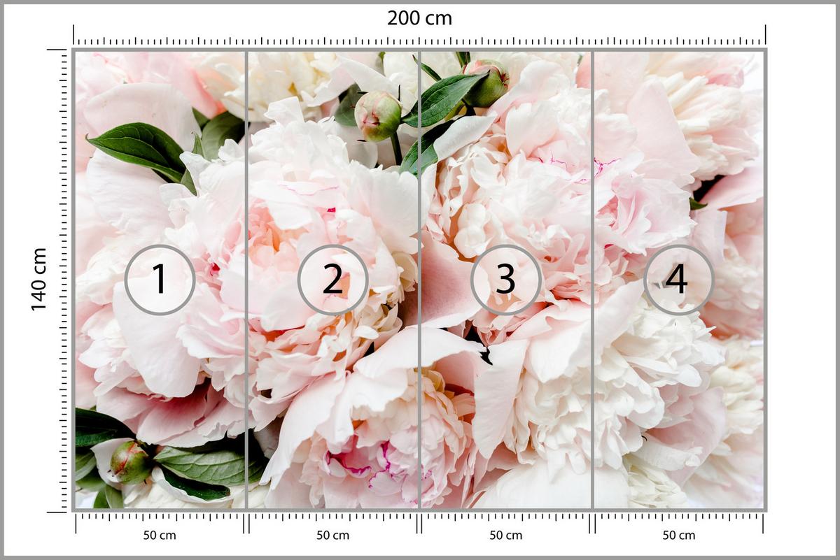 FOTOTAPETE für Schlafzimmer Rosa Zarte Pfingstrosen Natur 200x140 - Rosa/Weiß, Papier (200/140cm) - Muralo