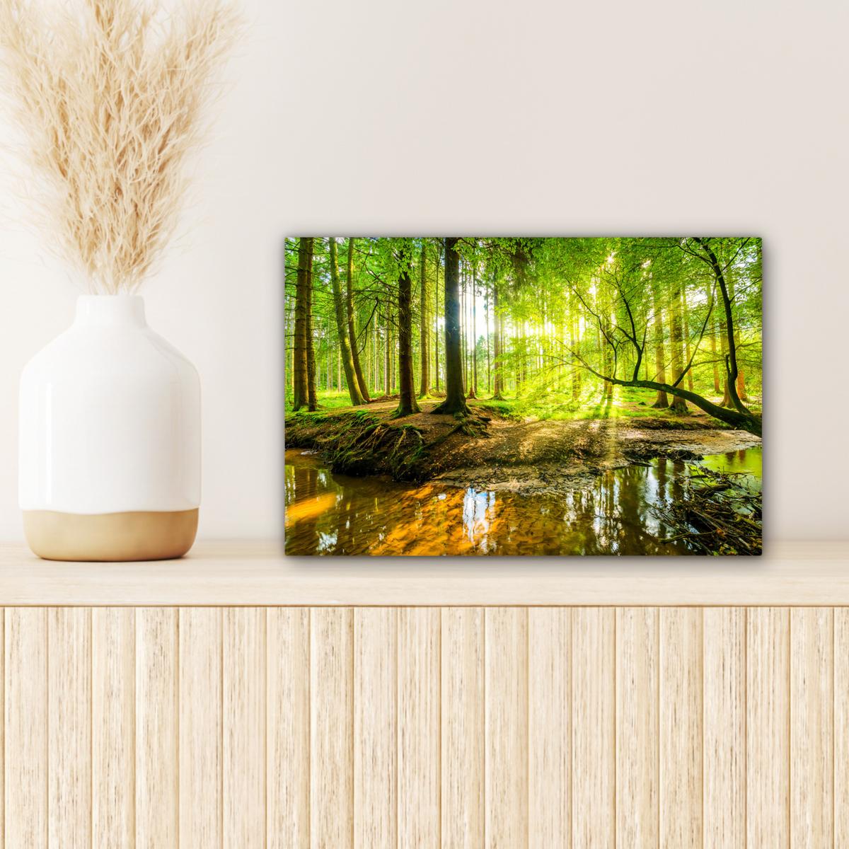 LEINWANDBILD Wald - Landschaft - Wasser - Bäume - Sonne - Grün - Natur Deko Schlafzimmer 30x20 cm - Grün, Textil (30/20cm) - MuchoWow