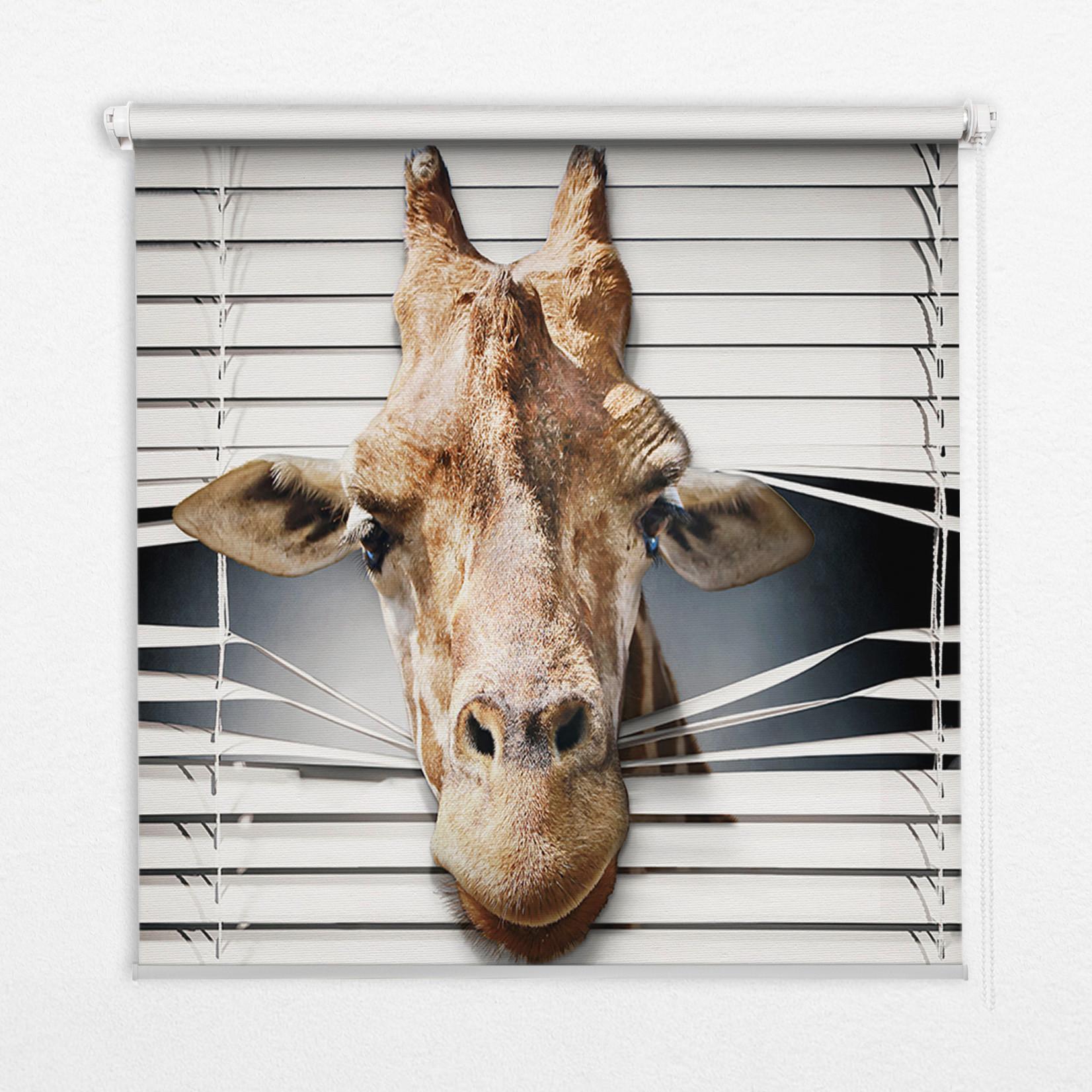 INNENROLLO - Fensterrollo - Rollo - 150x180 cm - Giraffe - Grau, Kunststoff (150/180/0.5cm) - TULUP